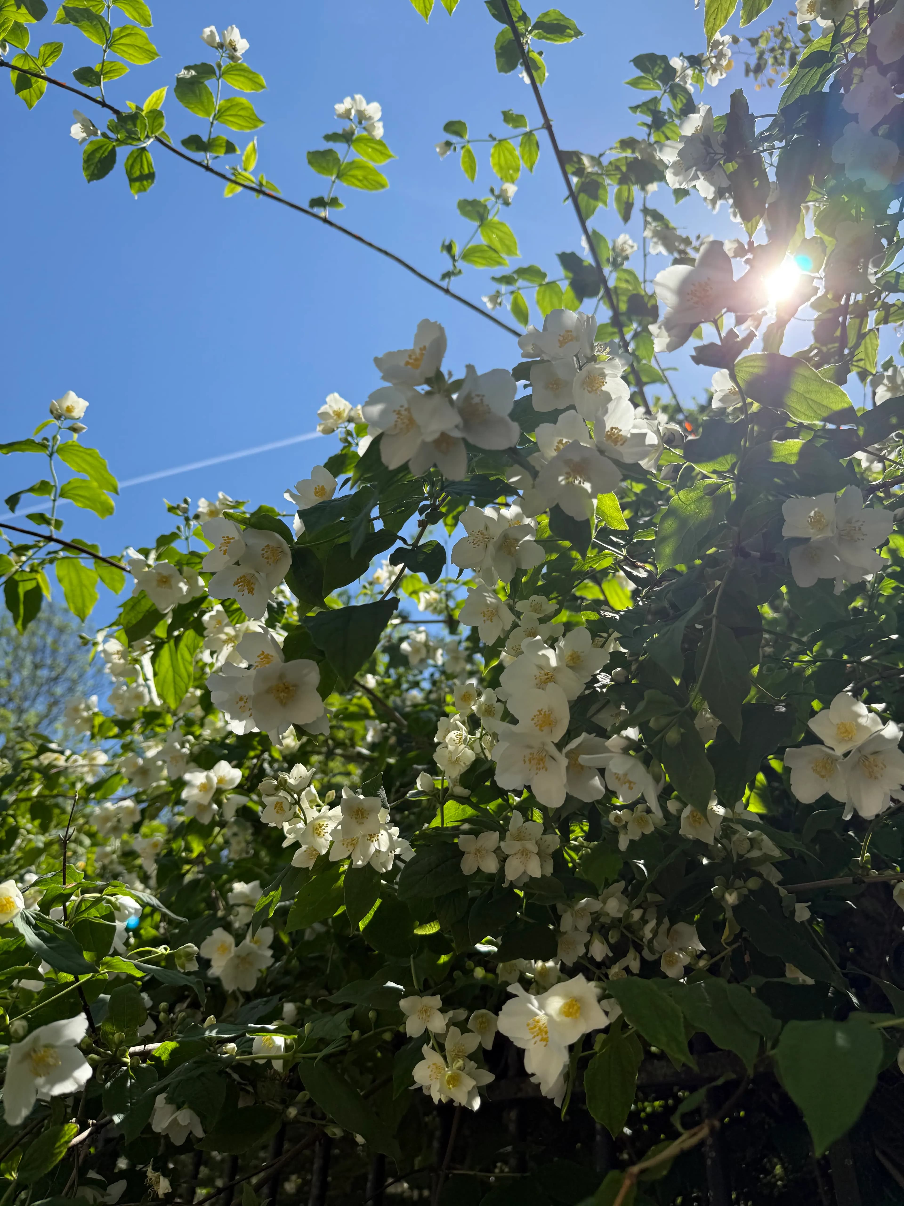 Happy International Workers’ Day!