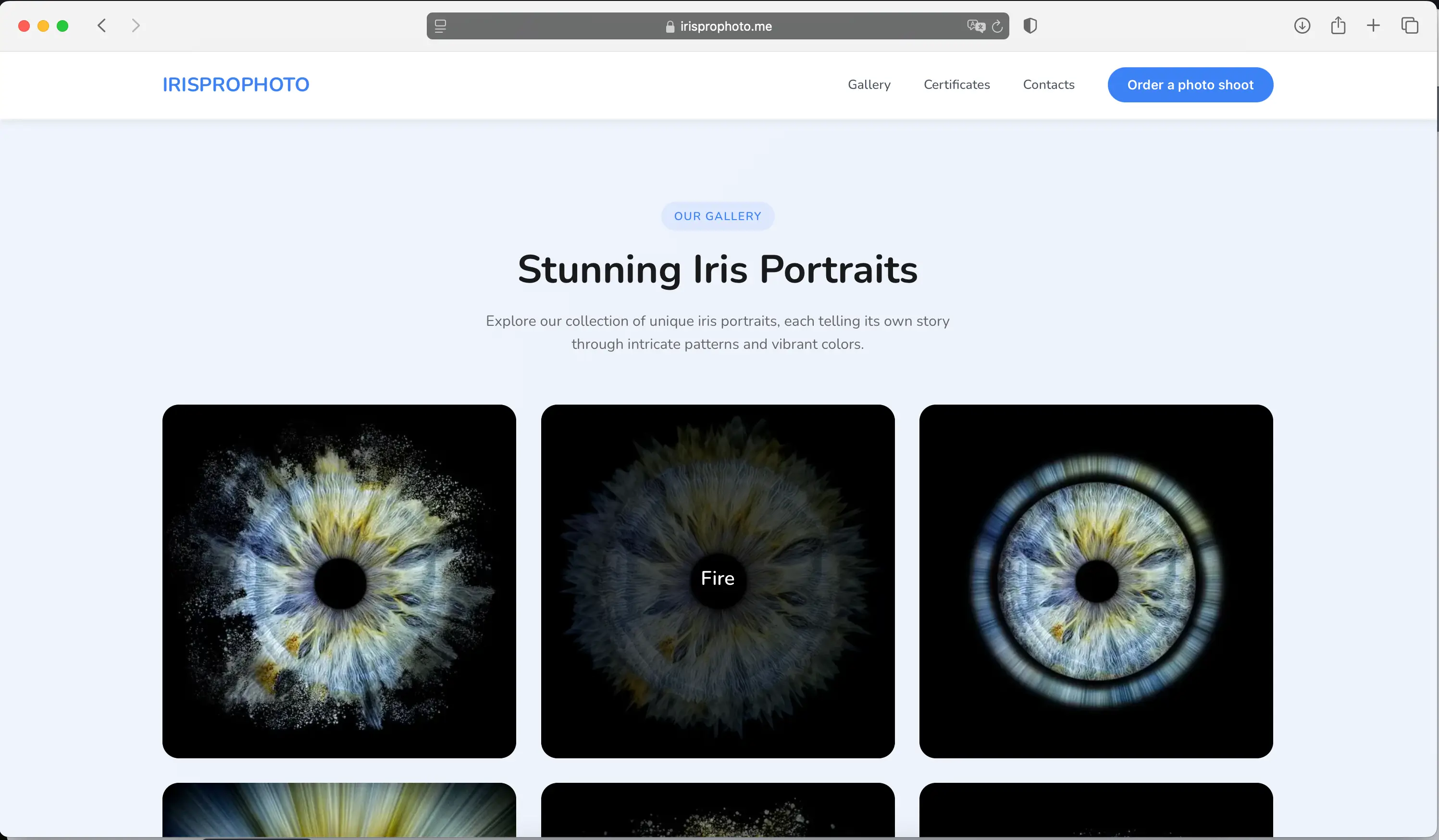 Iris Pro Photo Home page screenshot 2